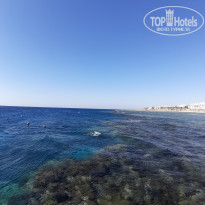 фото из отзыва ID 2064824