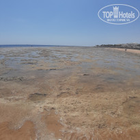 фото из отзыва ID 2064824