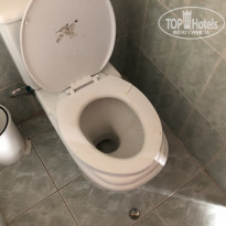 фото из отзыва ID 2064875