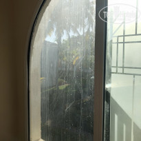 фото из отзыва ID 2064875