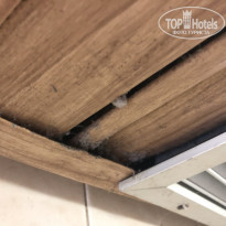 фото из отзыва ID 2064875