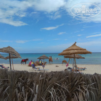 фото из отзыва ID 2064750