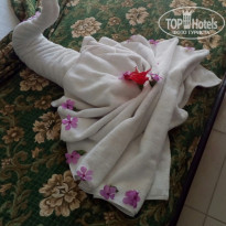 фото из отзыва ID 2064929