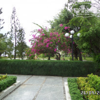 фото из отзыва ID 2065036