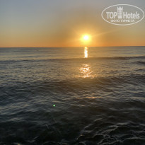 фото из отзыва ID 2065055