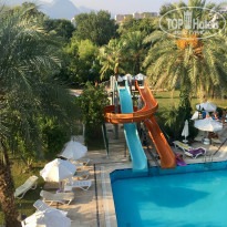 фото из отзыва ID 2065037