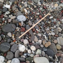 фото из отзыва ID 2064025