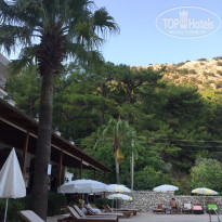 фото из отзыва ID 2065227