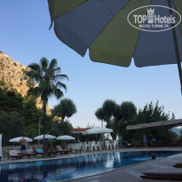 фото из отзыва ID 2065227