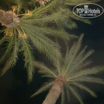 фото из отзыва ID 2065435