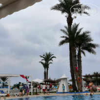 фото из отзыва ID 2065511