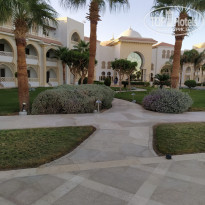 фото из отзыва ID 2065540