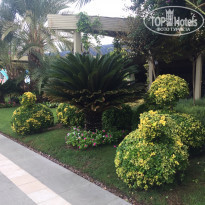 фото из отзыва ID 2065386