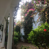 фото из отзыва ID 2065719