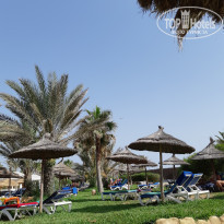 фото из отзыва ID 2065768