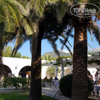 фото из отзыва ID 2065806