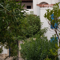 фото из отзыва ID 2065806