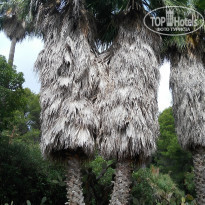 фото из отзыва ID 2065825