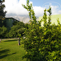 фото из отзыва ID 2065800