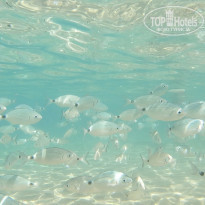 фото из отзыва ID 2065890