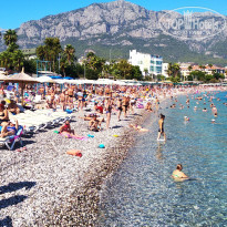 фото из отзыва ID 2065902