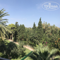 фото из отзыва ID 2066025