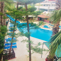 фото из отзыва ID 2065989