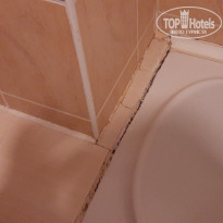 фото из отзыва ID 2066048