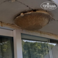 фото из отзыва ID 2066048