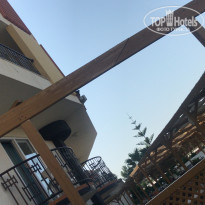 фото из отзыва ID 2066074