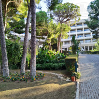 фото из отзыва ID 2066147