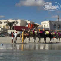 фото из отзыва ID 2066148