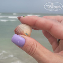 фото из отзыва ID 2066148