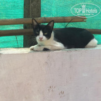 фото из отзыва ID 2066182