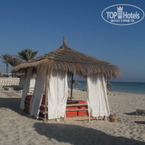 фото из отзыва ID 2066148