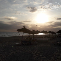 фото из отзыва ID 2066148