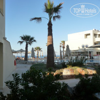 фото из отзыва ID 2066442