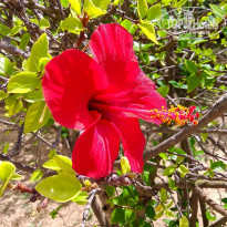 фото из отзыва ID 2066426