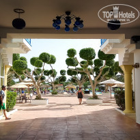 фото из отзыва ID 2066426