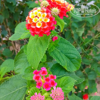 фото из отзыва ID 2066426