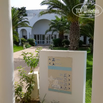 фото из отзыва ID 2066426