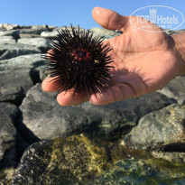 фото из отзыва ID 2066473