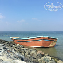 фото из отзыва ID 2066473