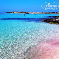 фото из отзыва ID 2065979