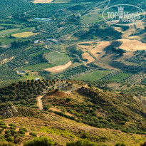 фото из отзыва ID 2065979