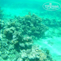 фото из отзыва ID 2066544