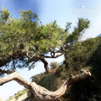 фото из отзыва ID 2066641