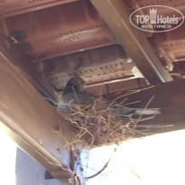 фото из отзыва ID 2066649