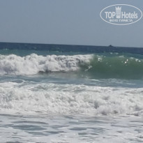 фото из отзыва ID 2066708