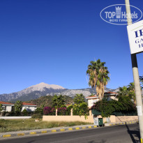 фото из отзыва ID 2065726